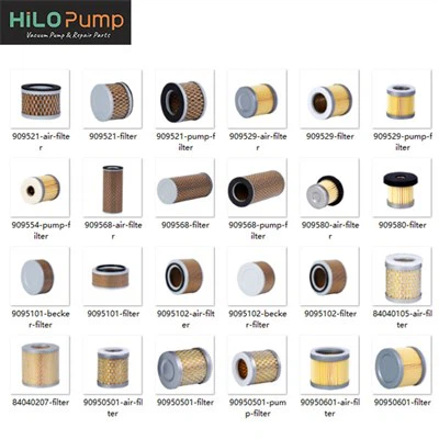 Come risolvere i problemi relativi alle palette della pompa Becker?